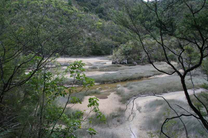 Nieuw-Zeeland 2011 - 1043